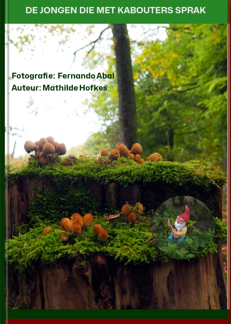 Afbeelding